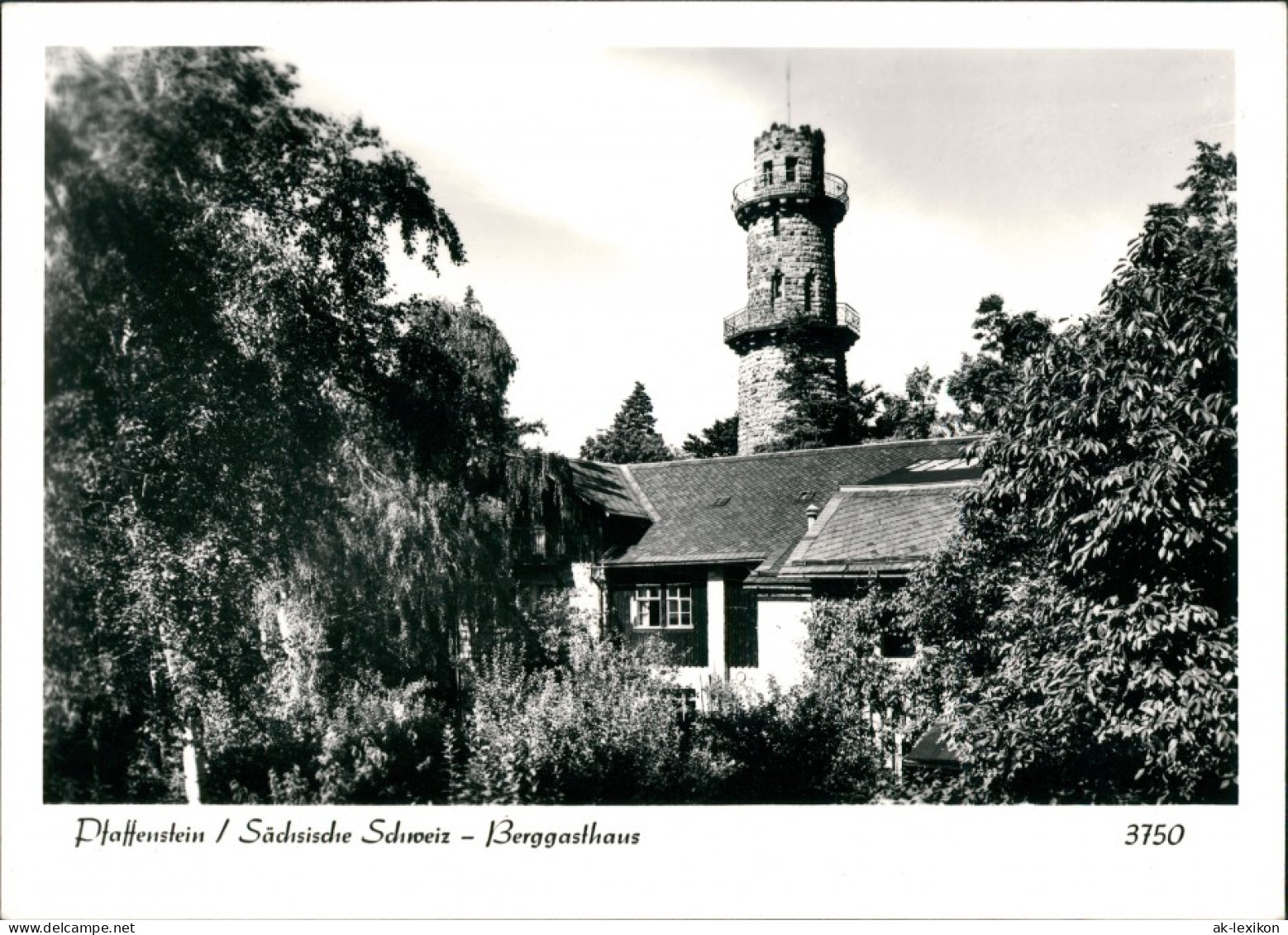 Pfaffendorf-Königstein   Aussichtsturm   Berggasthof Foto Hering 1981 - Koenigstein (Saechs. Schw.)