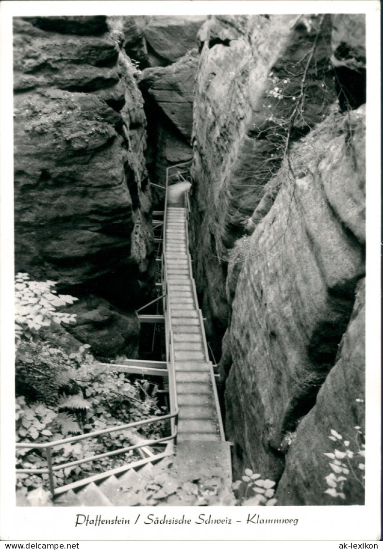 Pfaffendorf-Königstein (Sächsische Schweiz) Pfaffenstein Klammweg 1980 - Koenigstein (Saechs. Schw.)