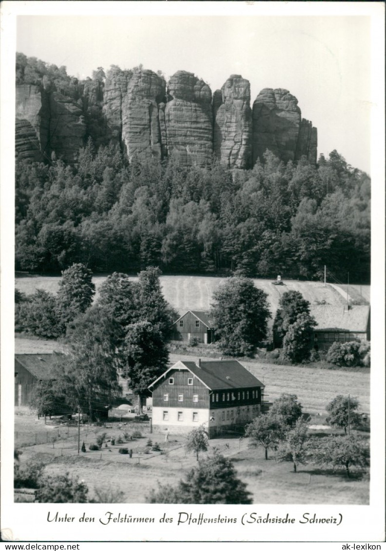 Pfaffendorf-Königstein (Sächsische Schweiz) Häuser Felstürmen Foto Hering 1964 - Koenigstein (Saechs. Schw.)