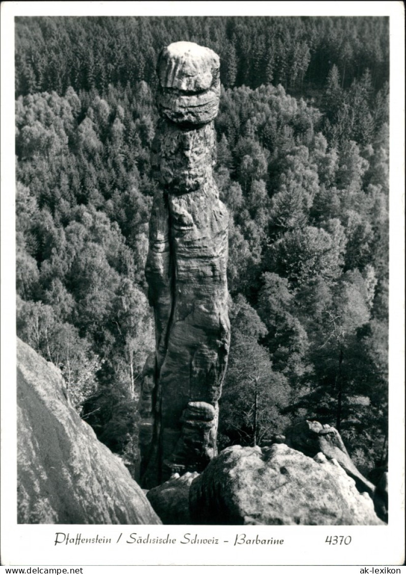 Pfaffendorf-Königstein (Sächsische Schweiz) Barbarine Foto Hering 1981 - Koenigstein (Saechs. Schw.)