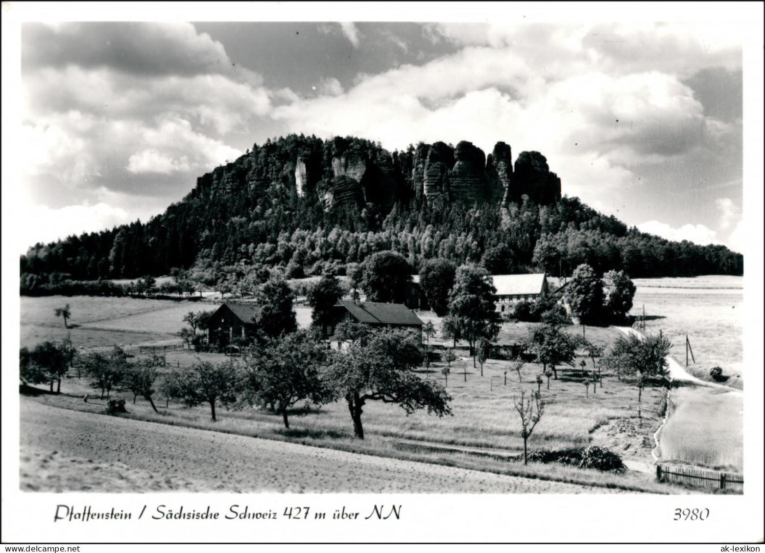 Pfaffendorf-Königstein (Sächsische Schweiz) Pfaffenstein Und Stadt 1989 - Koenigstein (Saechs. Schw.)