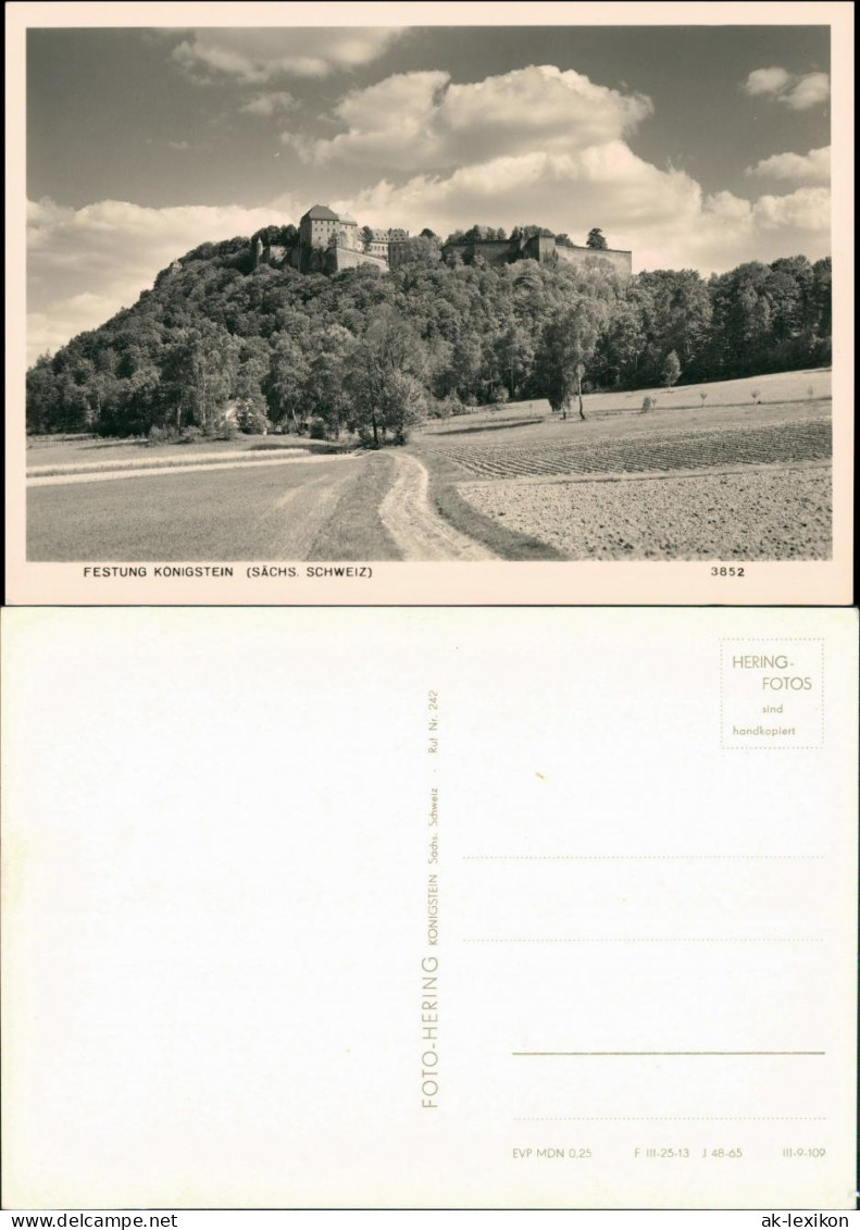 Königstein (Sächsische Schweiz) Feldweg Festung Foto Hering 1965 - Koenigstein (Saechs. Schw.)