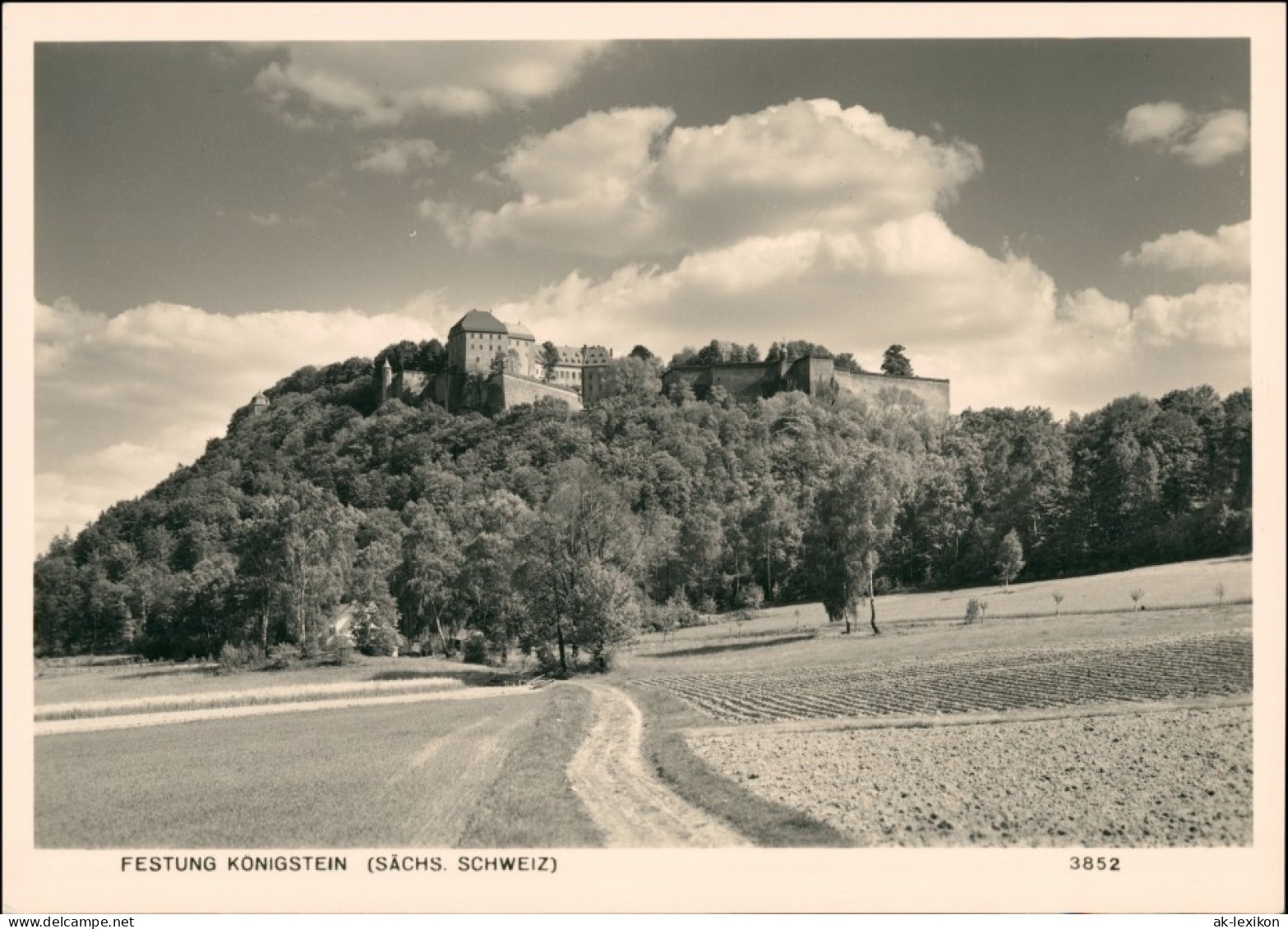 Königstein (Sächsische Schweiz) Feldweg Festung Foto Hering 1965 - Koenigstein (Saechs. Schw.)