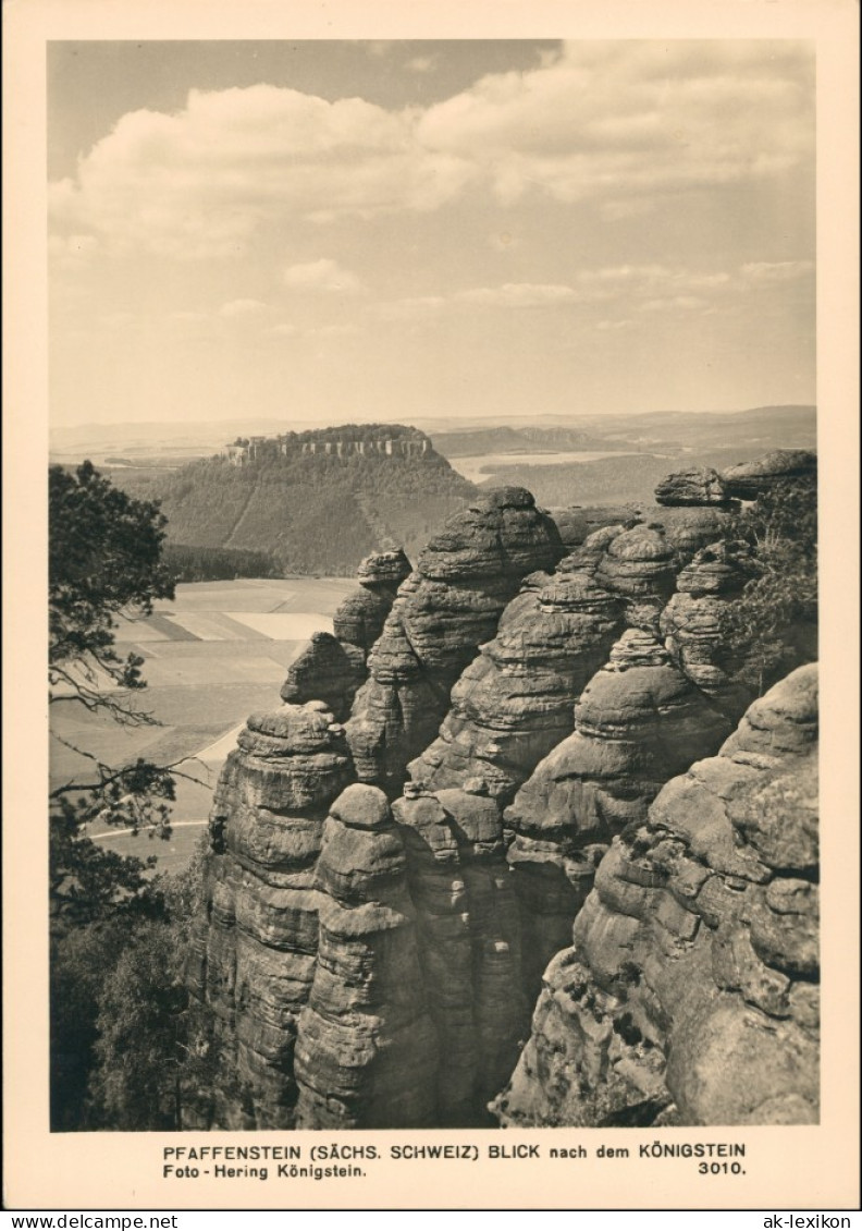 Königstein (Sächsische Schweiz) Festung Königstein Vom Pfaffenstein 1954 - Koenigstein (Saechs. Schw.)