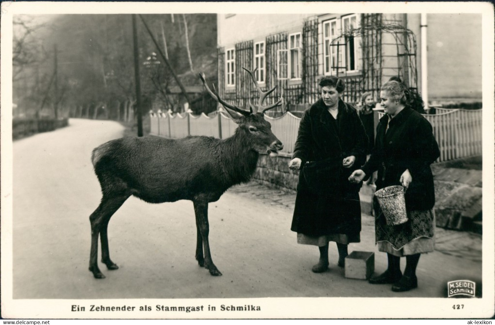 Ansichtskarte Schmilka Zehnender Fütterung Straße M. Seidel Schmilka 1935 - Schmilka