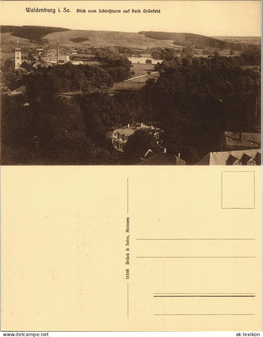 Ansichtskarte Waldenburg (Sachsen) Vom Schloß Auf Park Grünfeld 1913 - Waldenburg (Sachsen)