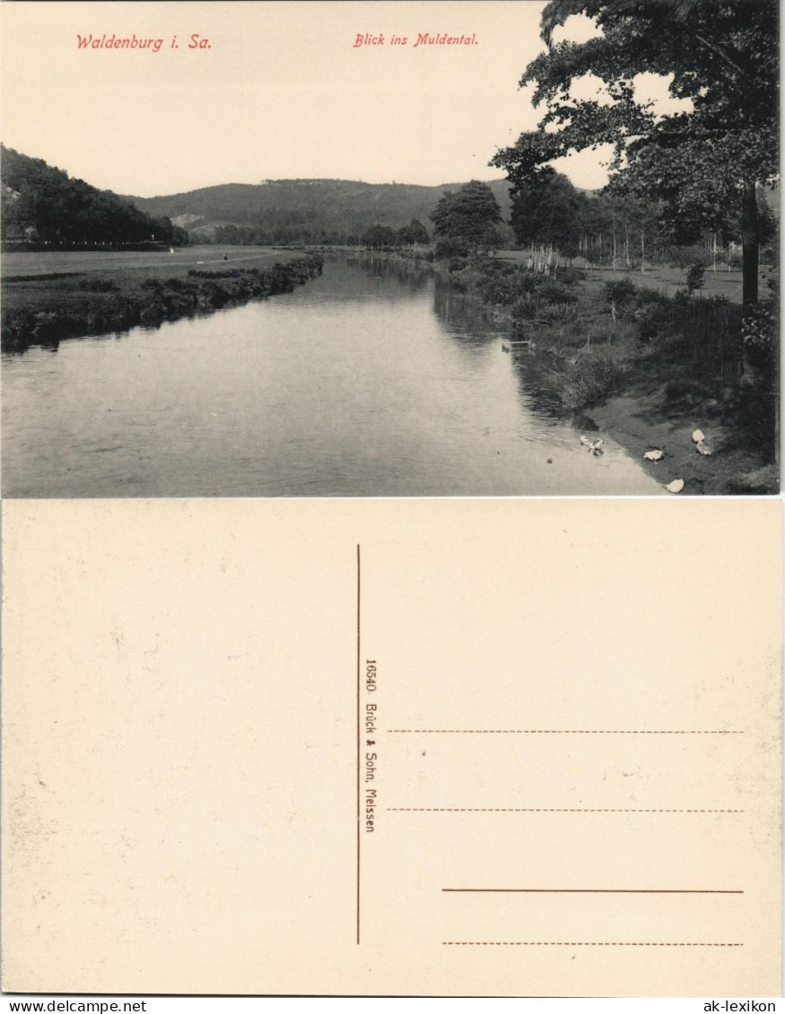 Ansichtskarte Waldenburg (Sachsen) Blick Ins Muldental 1913 - Waldenburg (Sachsen)