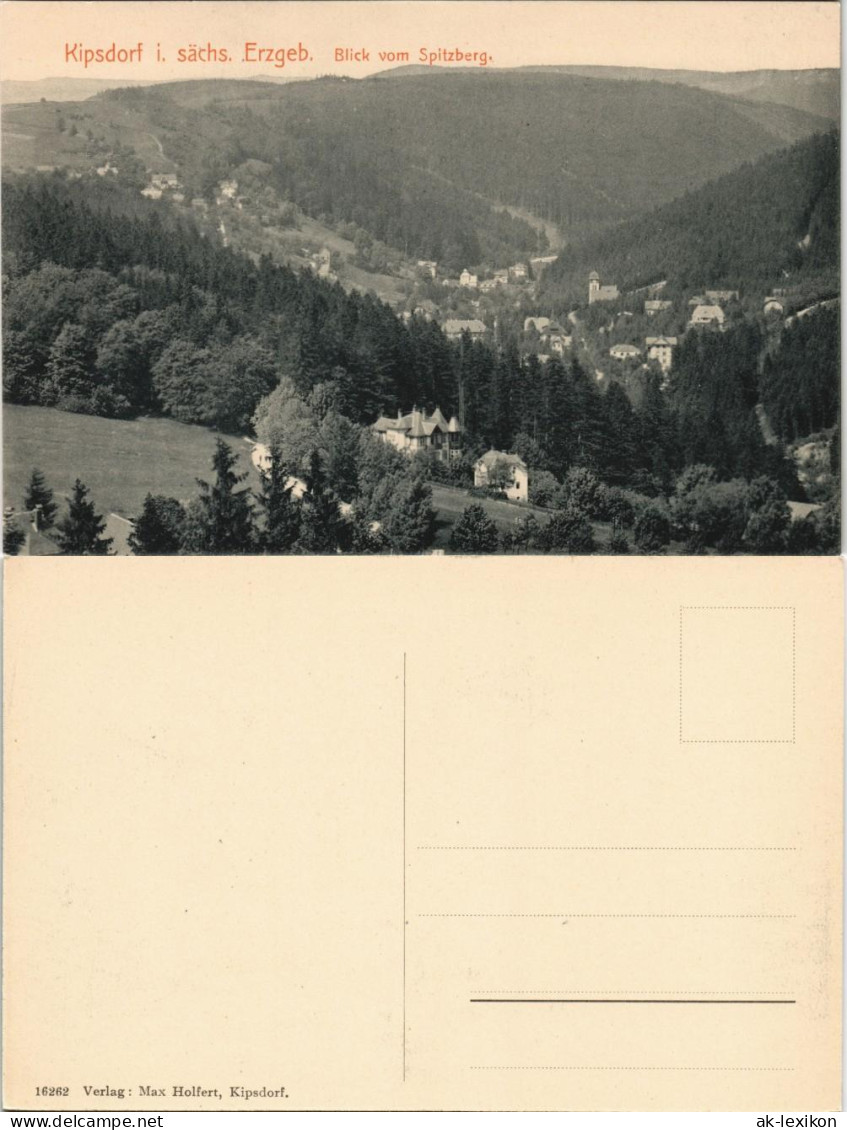 Ansichtskarte Kipsdorf-Altenberg (Erzgebirge) Blick Vom Spitzberg 1915 # - Kipsdorf