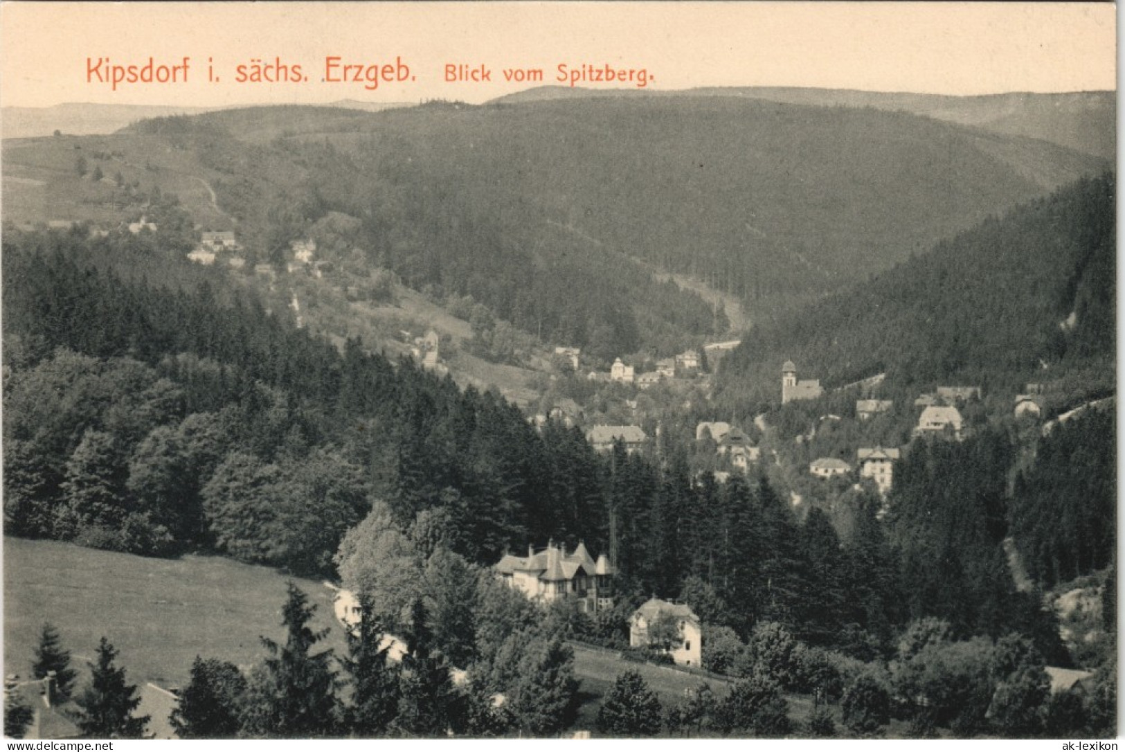 Ansichtskarte Kipsdorf-Altenberg (Erzgebirge) Blick Vom Spitzberg 1915 # - Kipsdorf