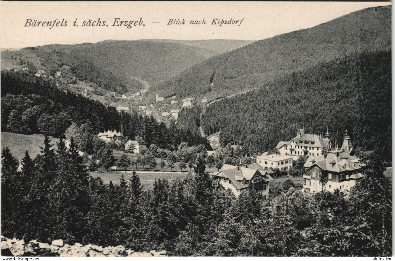 Kipsdorf-Altenberg (Erzgebirge) Stadt Werbung Pension Villa Lydia 1915 - Kipsdorf
