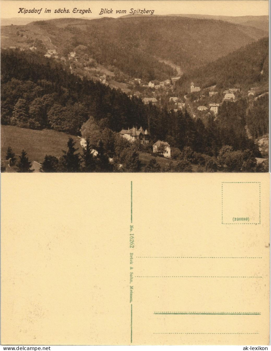 Ansichtskarte Kipsdorf-Altenberg (Erzgebirge) Blick Vom Spitzberg 1915 - Kipsdorf