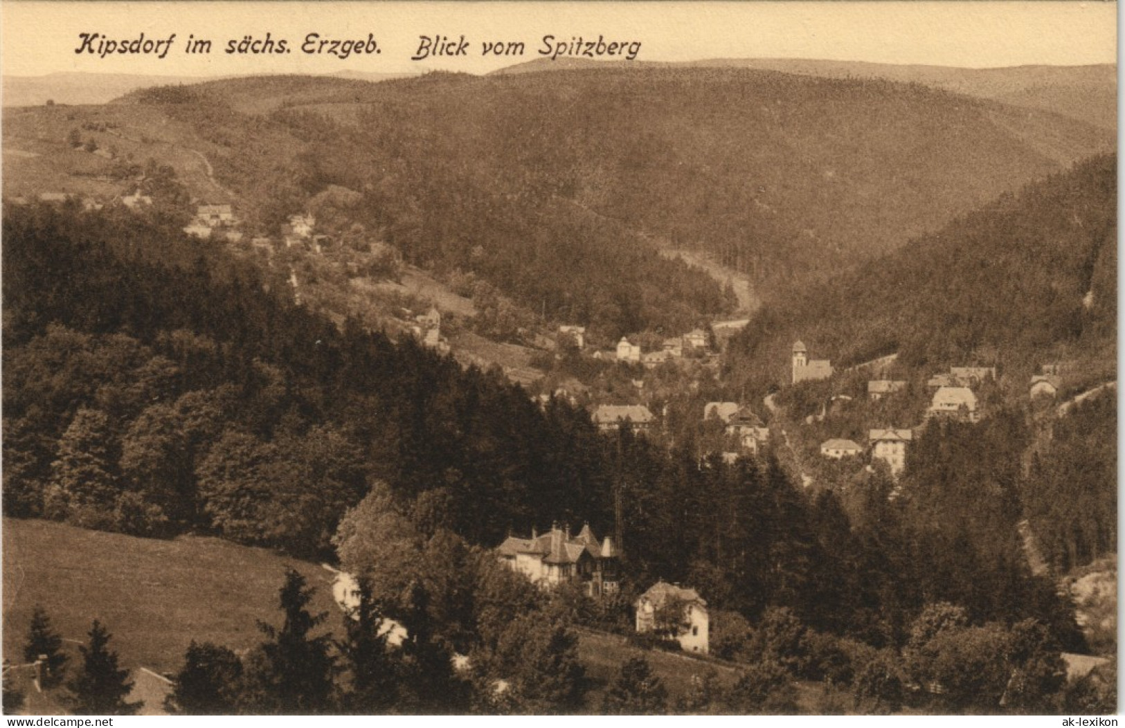 Ansichtskarte Kipsdorf-Altenberg (Erzgebirge) Blick Vom Spitzberg 1915 - Kipsdorf