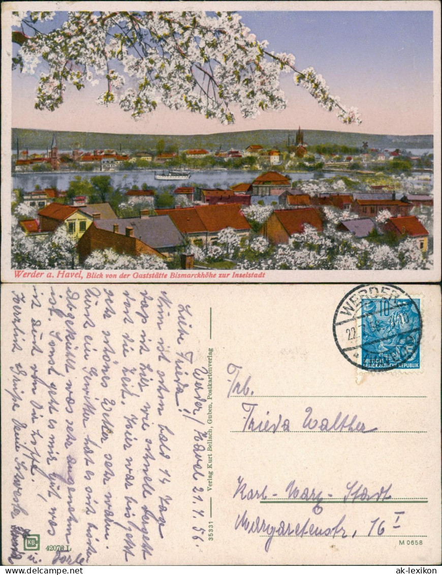 Ansichtskarte Werder (Havel) Baumblüte  Gaststätte Bismarckhöhe 1928  Gel. 1956 - Werder