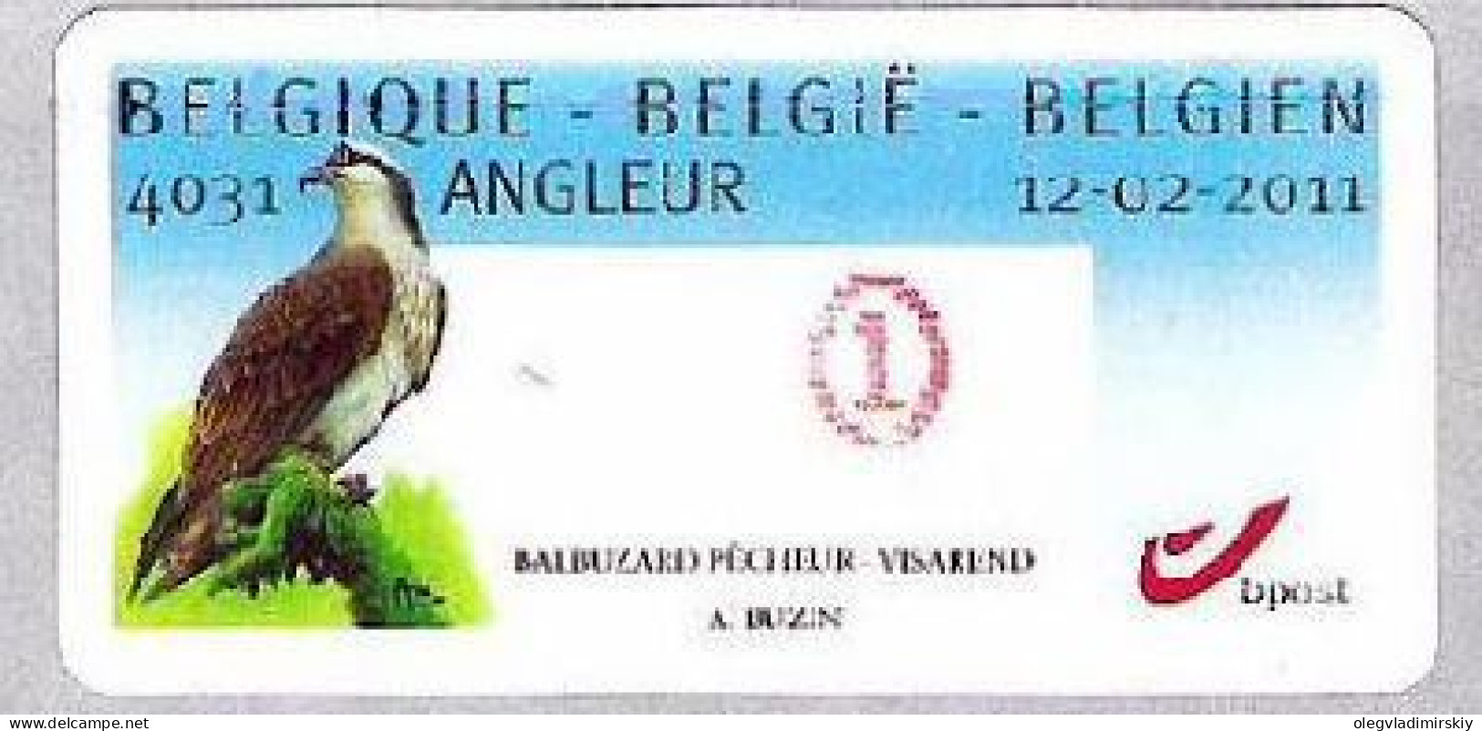 Belgium Belgique Belgium 2011 Osprey (Pandion Haliaetus) Bird Stamp MNH - Neufs