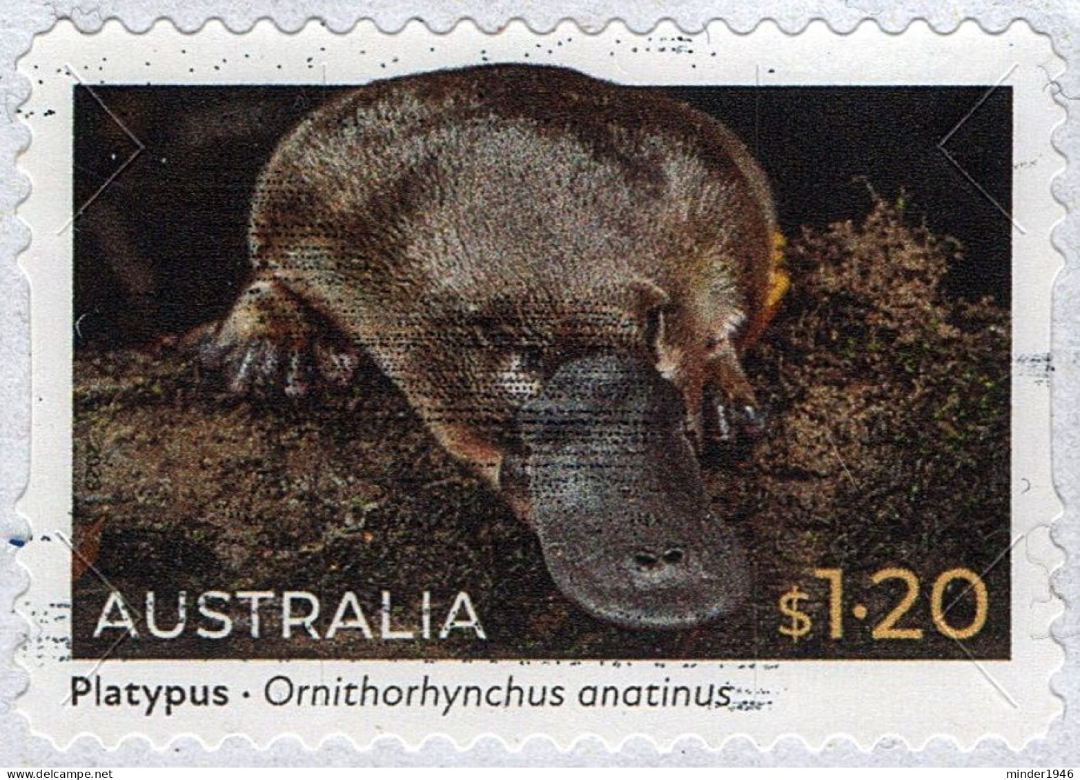 AUSTRALIA 2022 $1.20 Multicoloured, Native Animals - Platypus Self Adhesive DIE-CUT-USED FU - Oblitérés