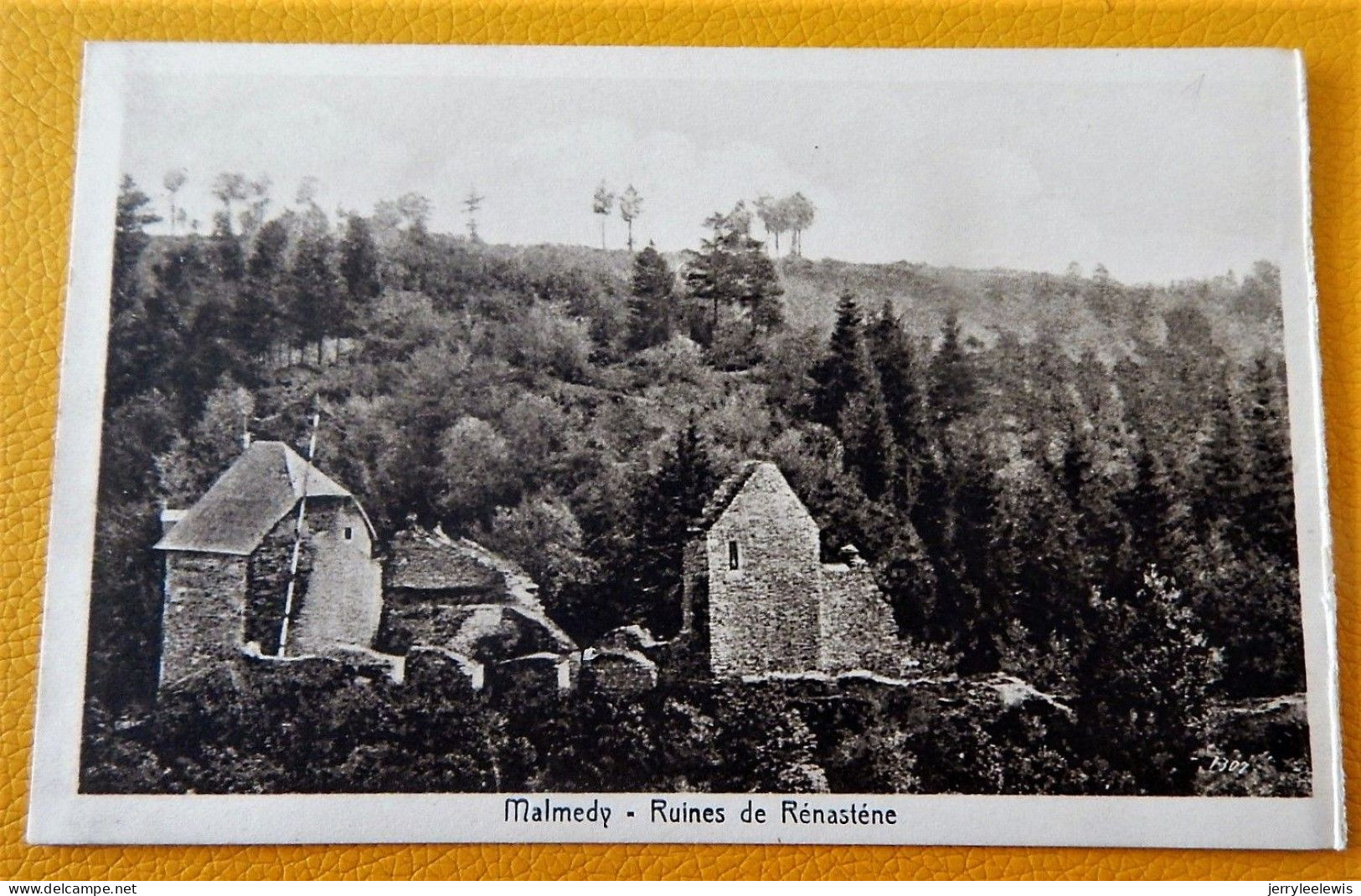 MALMEDY   -  Ruines De Renastène - Malmedy