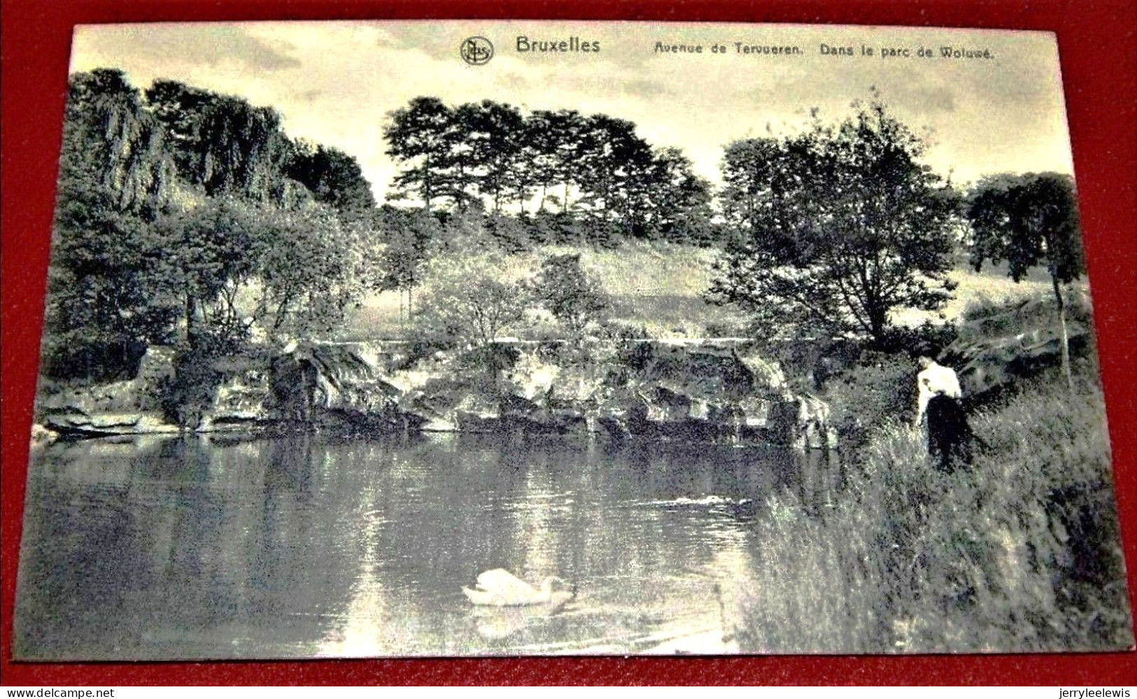 BRUXELLES -  Avenue De Tervueren  -  Dans Le Parc De Woluwe - Forêts, Parcs, Jardins