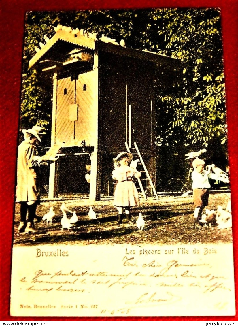 BRUXELLES - BRUSSEL -  Les Pigeons Sur L' Île Du Bois   -  1905  - - Parks, Gärten