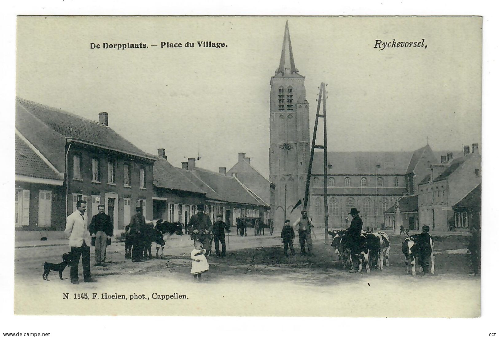 Ryckevorsel  Rijkevorsel   De Dorpplaats  Place Du Village      Edit F Hoelen N° 1145 - Rijkevorsel