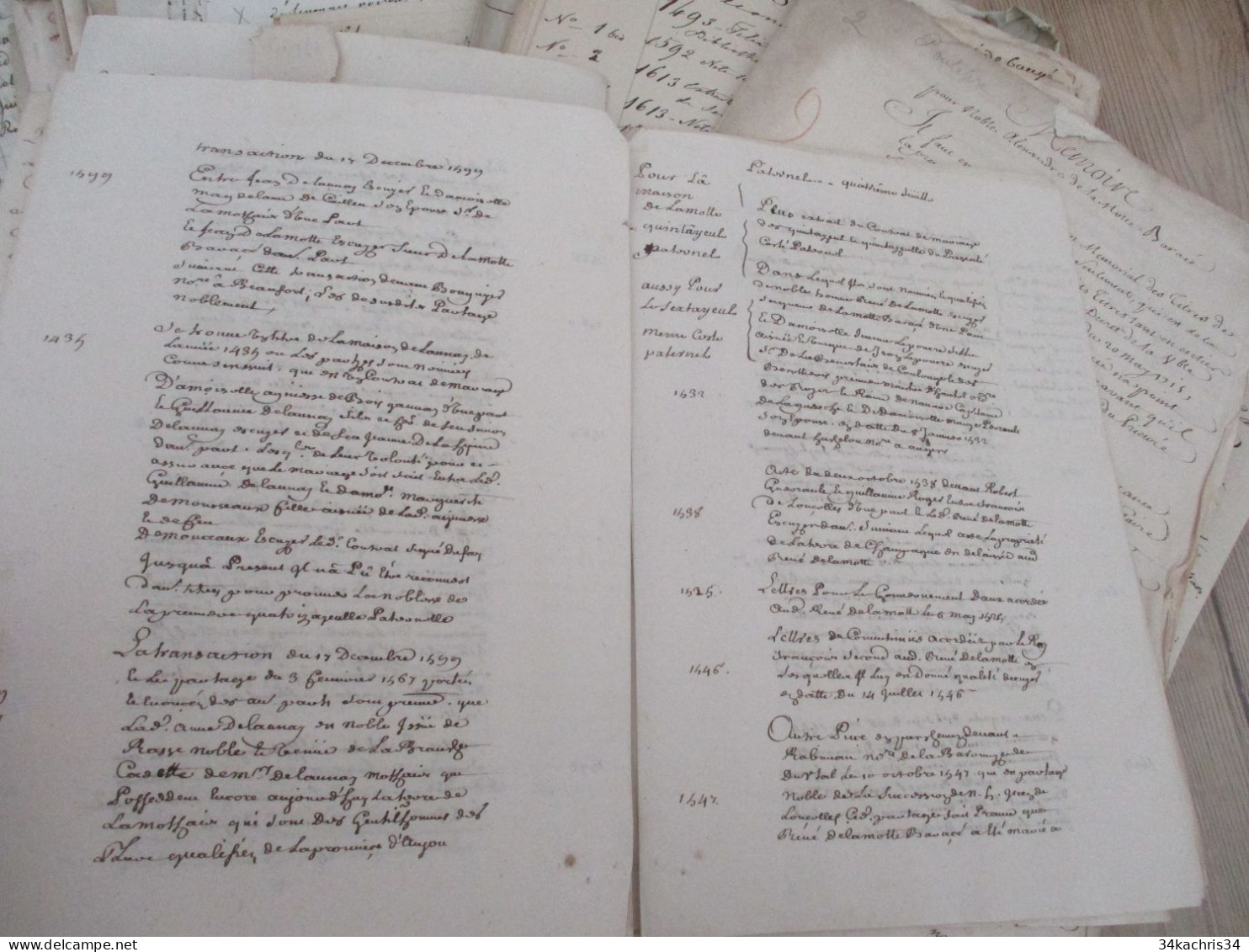 Archives Notes Généalogiques Dont Hozier Lamothe Barace Labouère Guillot Labardouillère .... + 1.8kg De Manuscrits - Manuscripts