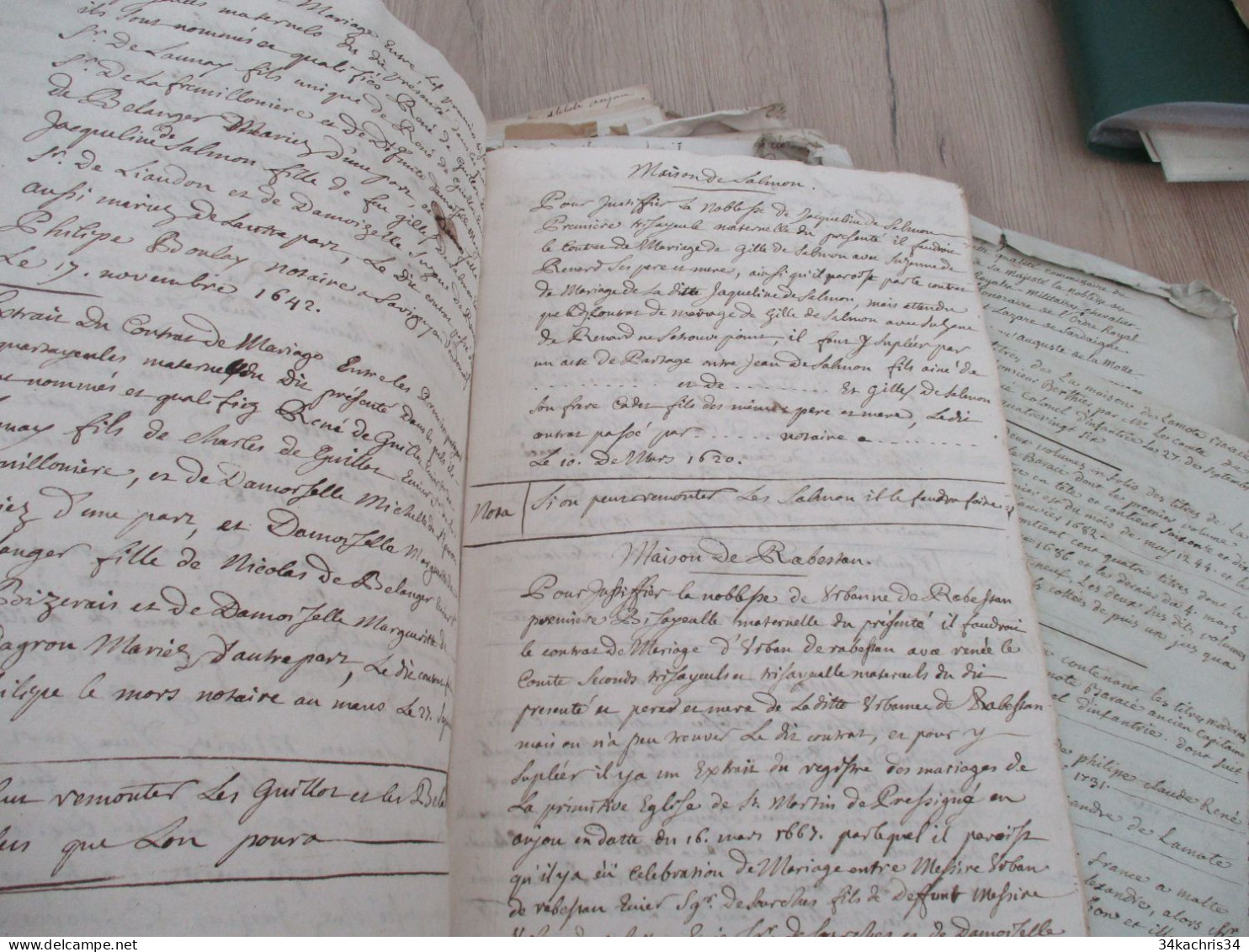 Archives notes généalogiques dont Hozier Lamothe Barace Labouère Guillot Labardouillère .... + 1.8kg de manuscrits