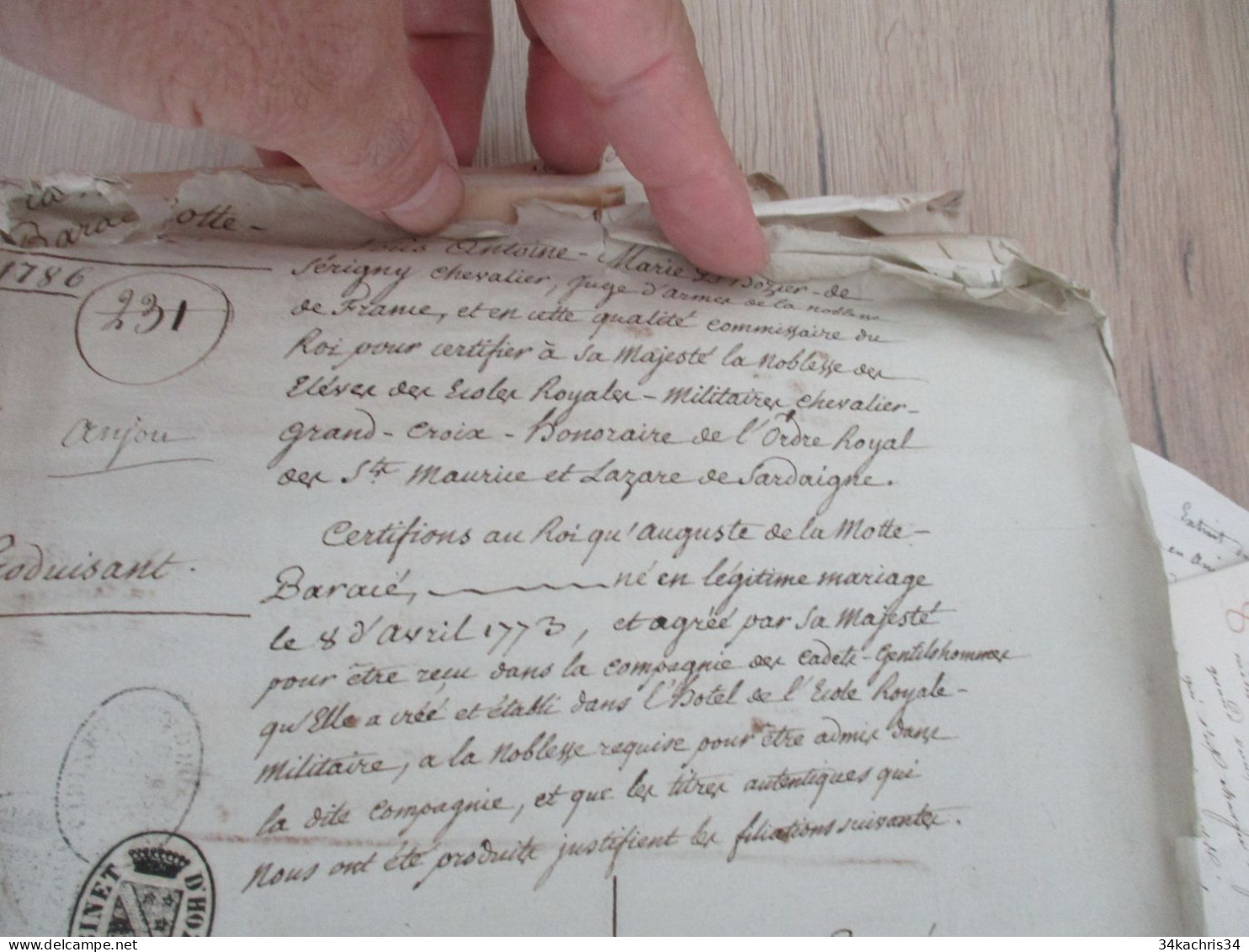 Archives notes généalogiques dont Hozier Lamothe Barace Labouère Guillot Labardouillère .... + 1.8kg de manuscrits