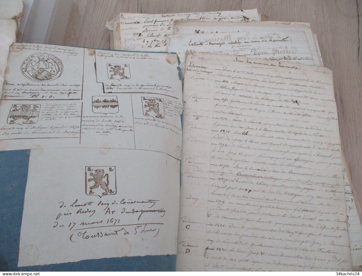 Archives notes généalogiques dont Hozier Lamothe Barace Labouère Guillot Labardouillère .... + 1.8kg de manuscrits