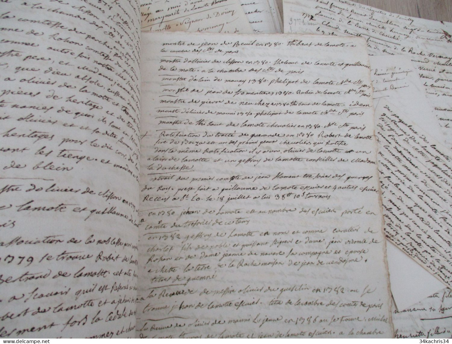 Archives notes généalogiques dont Hozier Lamothe Barace Labouère Guillot Labardouillère .... + 1.8kg de manuscrits