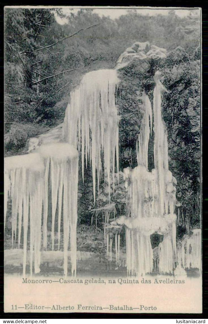 MONCORVO -Cascata Gelada, Na Quinta Das Avelleiras. ( Editor Alberto Ferreira Nº 11) Carte Postale - Bragança