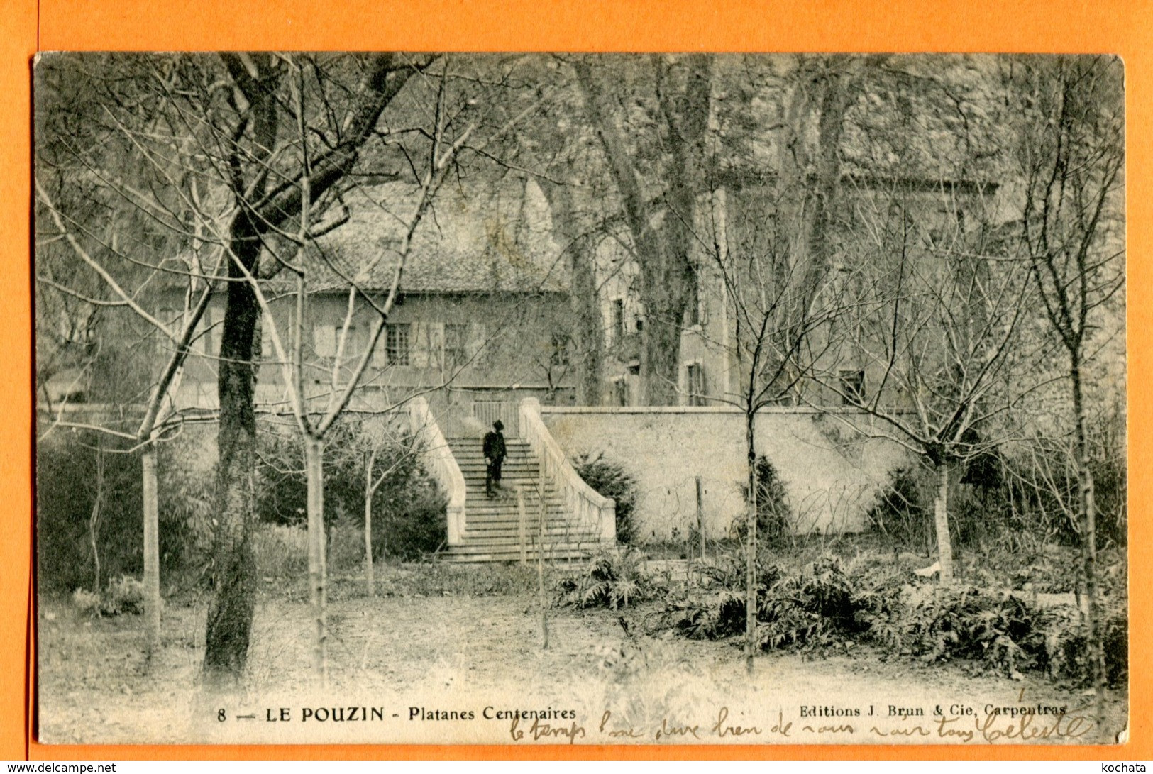 Y227, Le Pouzin, Animée, Platanes Centenaires, 8, Précurseur, Circulée 1904 - Le Pouzin