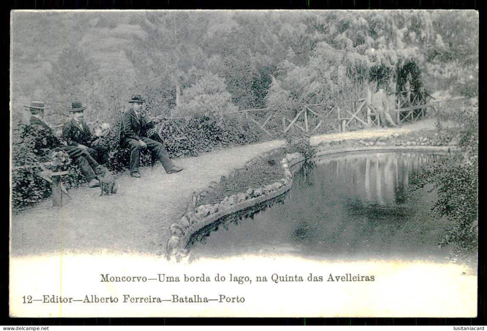 MONCORVO- Uma Borda Do Lago, Na Quinta Das Avelleiras. ( Editor Alberto Ferreira Nº 12) Carte Postale - Bragança