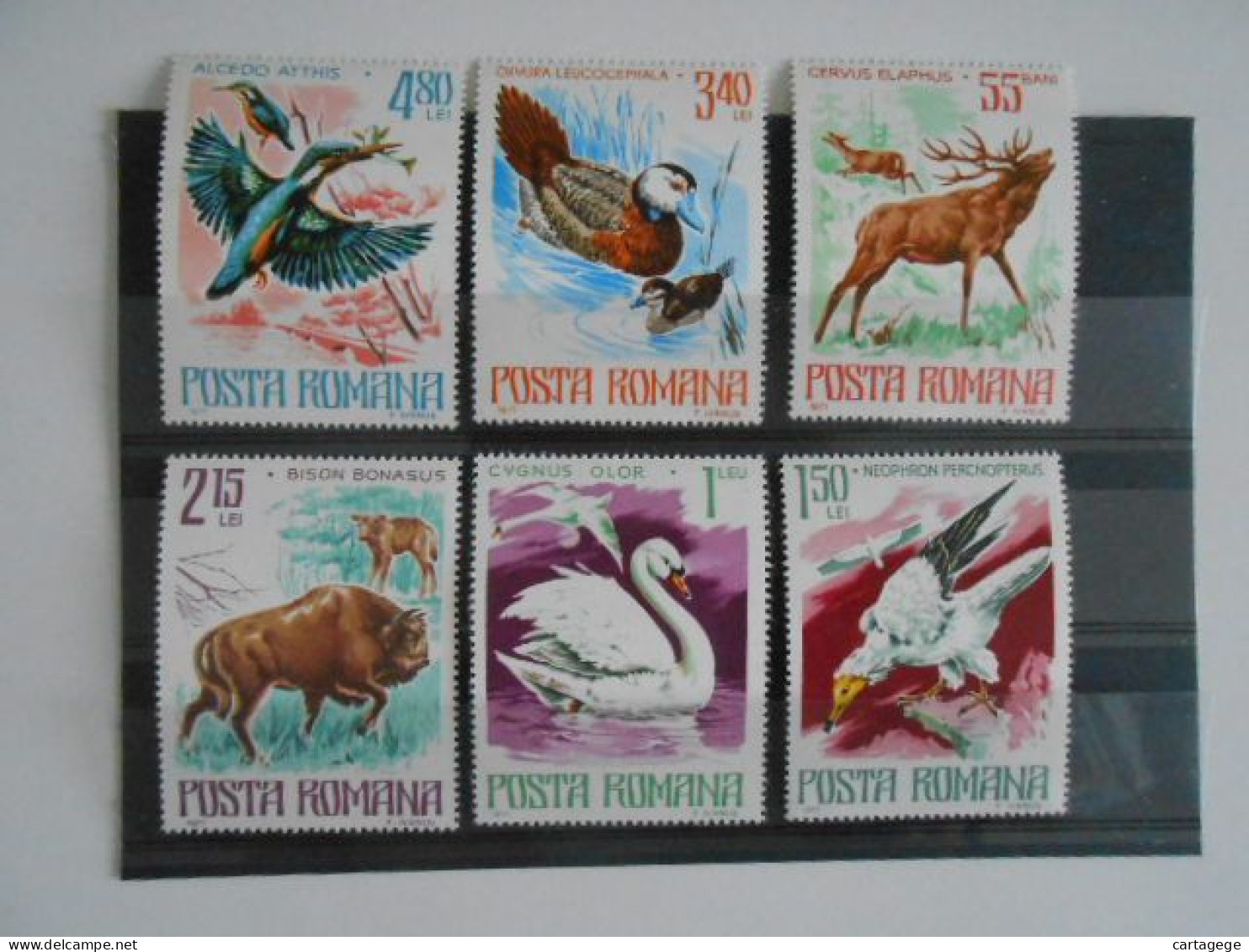 ROUMANIE YT 3021/3026 PROTECTECTION DE LA NATURE - FAUNE** - Unused Stamps