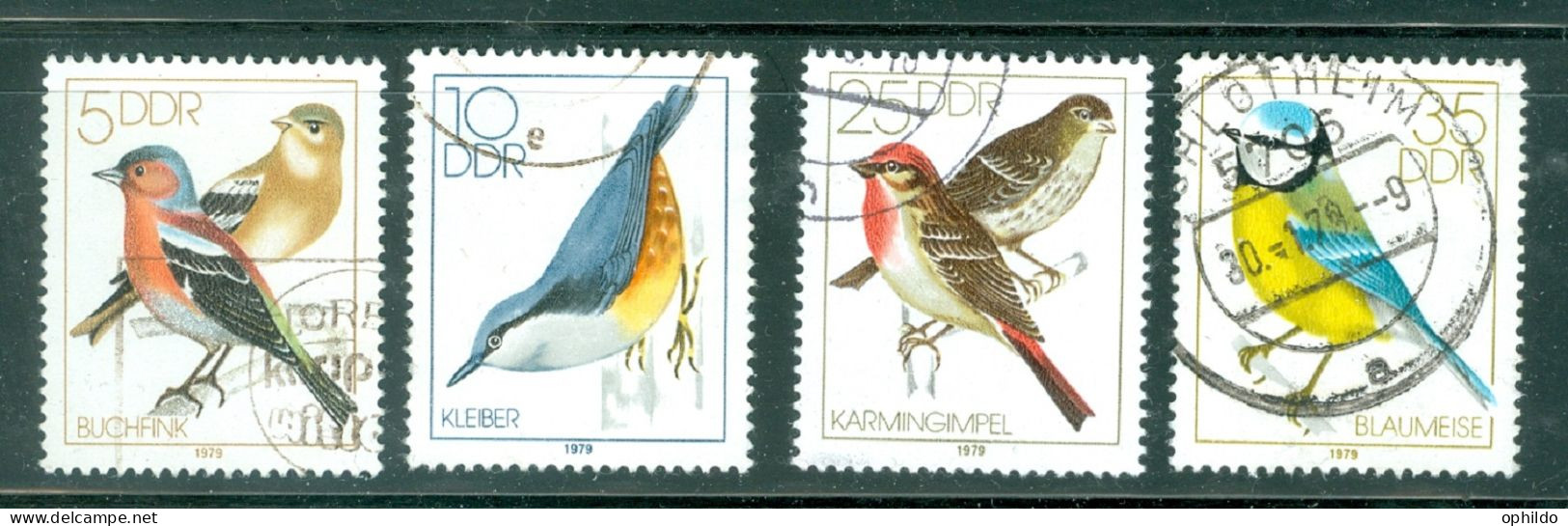 Lot  DDR  Ob  TB    Oiseau Passereau   - Songbirds & Tree Dwellers