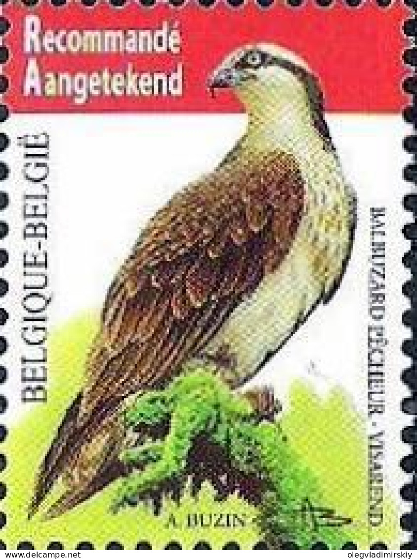 Belgium Belgique Belgien 2011 Definitives Birds Osprey Pandion Haliaetus High Face Value Stamp MNH - Águilas & Aves De Presa