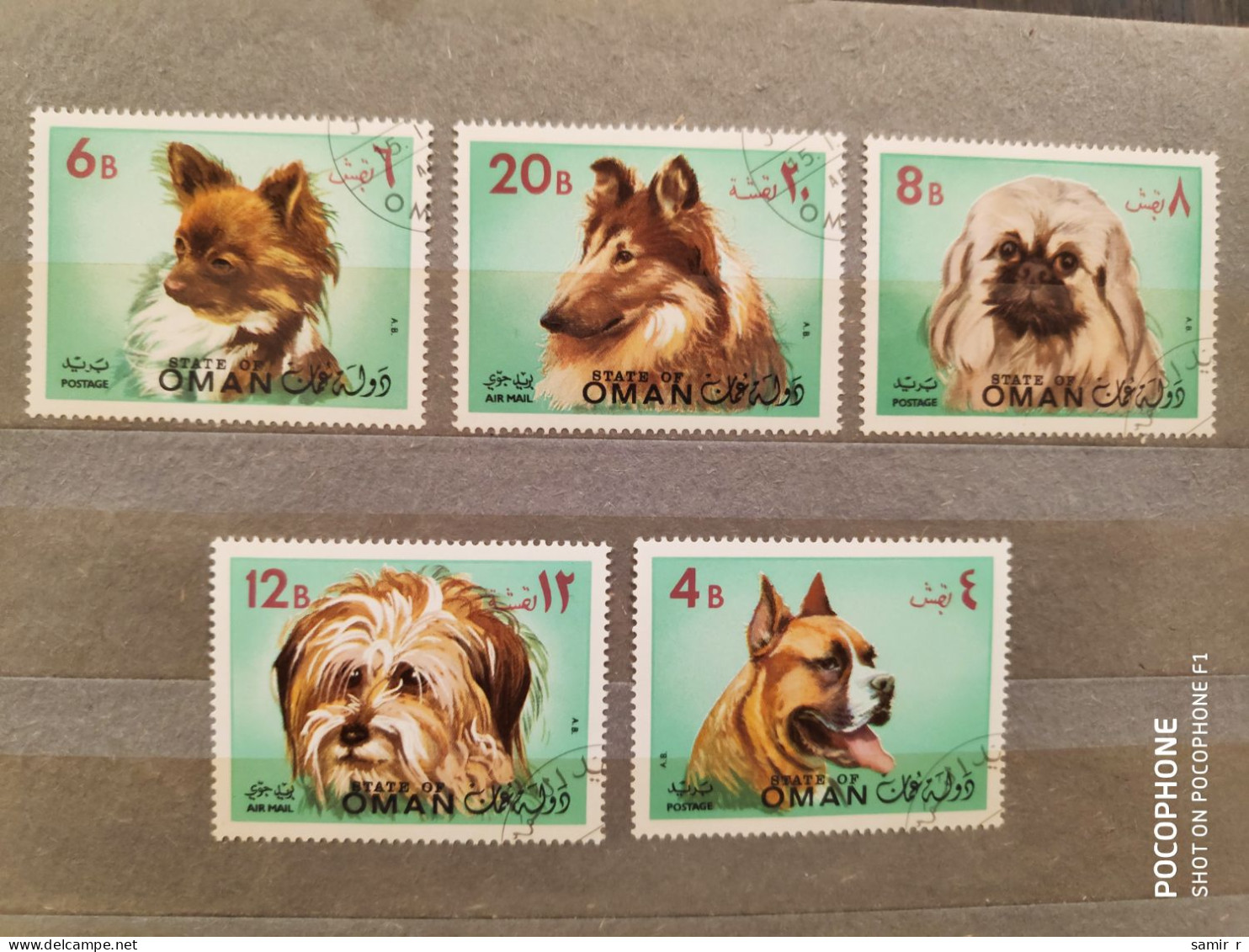 1971	Oman	Dogs (F87) - Omán