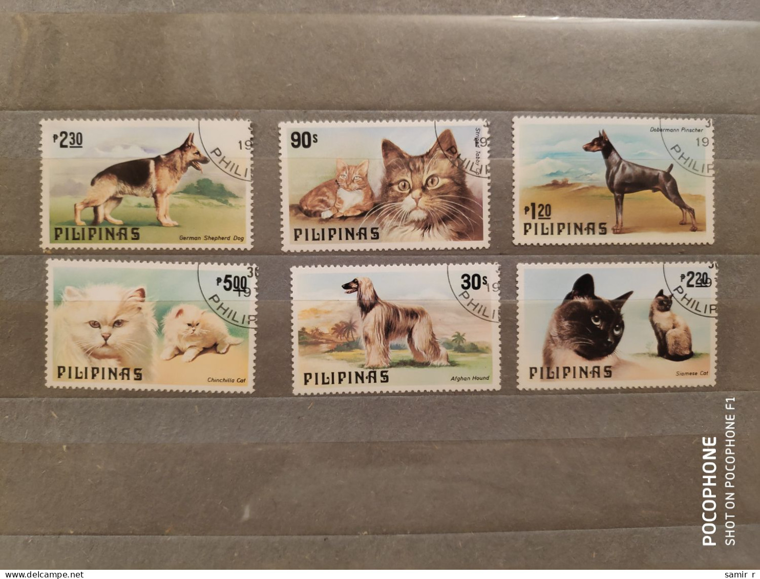 Philippiines	Dogs Cats (F87) - Filipinas