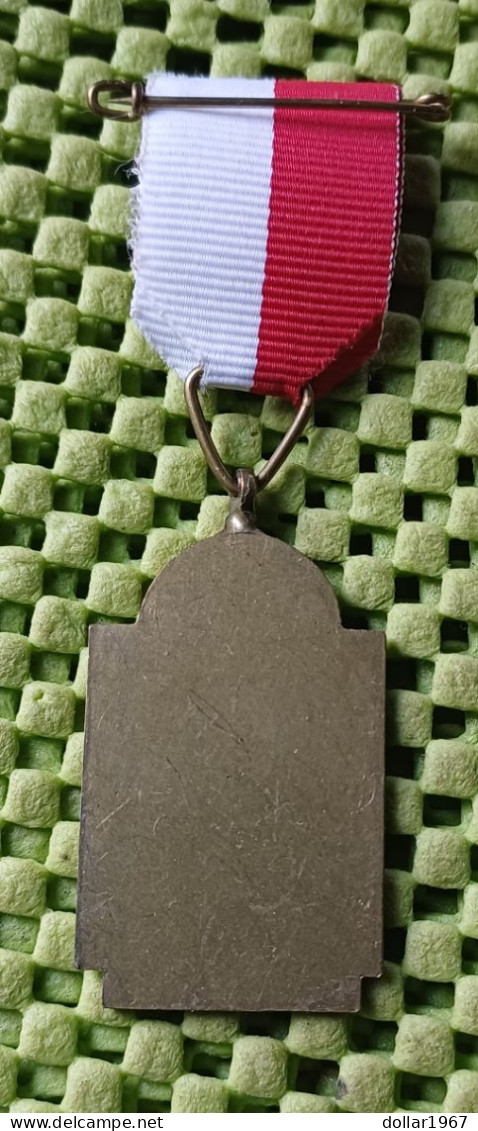 Medaile : W.S.V. De Berghlopers Montferland - Tochten. -  Original Foto  !!  Medallion  Dutch - Andere & Zonder Classificatie