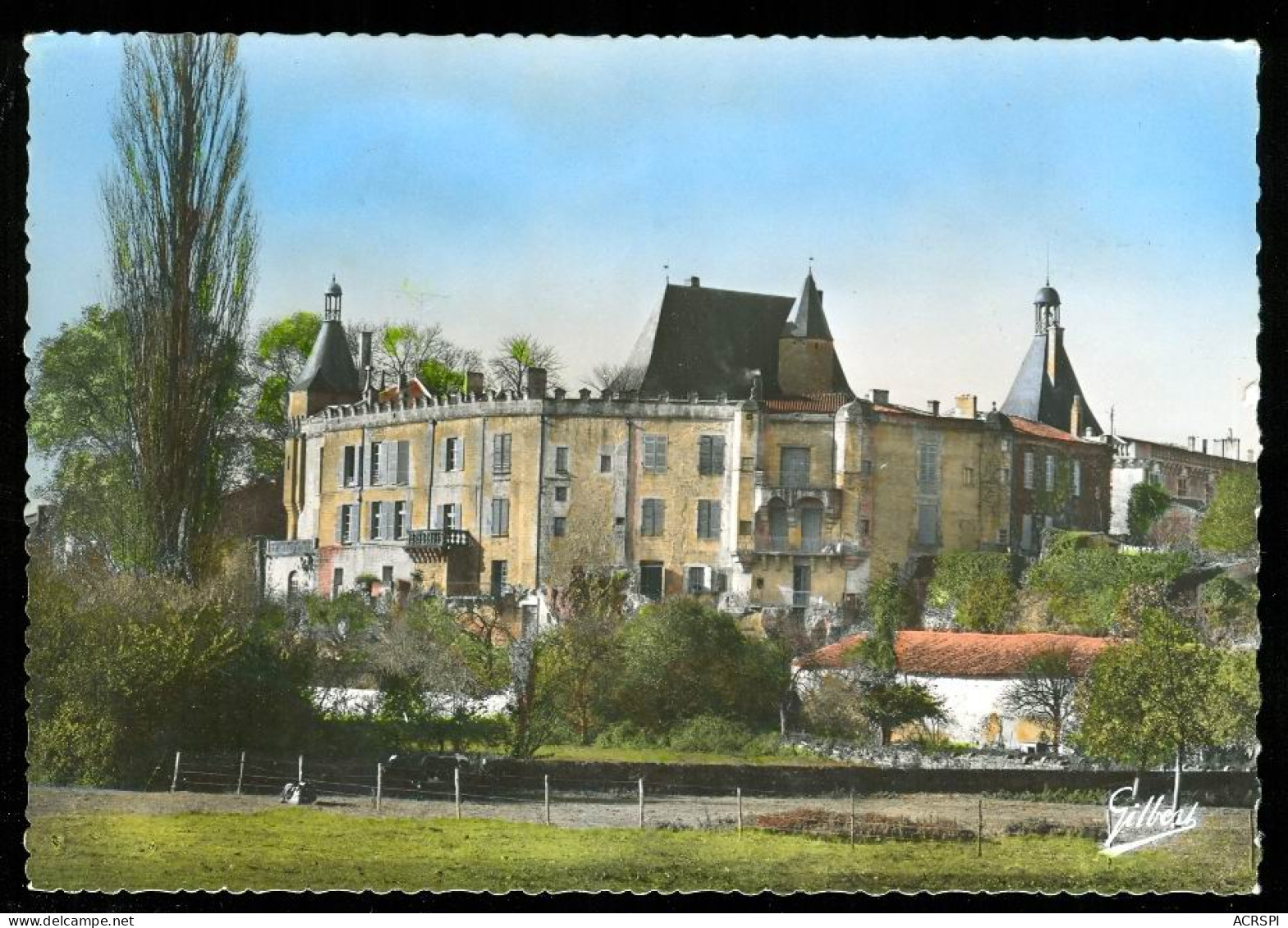 JONSAC La Facade Sud Est Du Chateau édition A.Gilbert VV 1604 - Jonzac