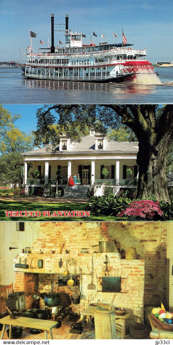La Louisiane Et La Floride En 1997 (100 Photos Originales Prises Par Un Touriste + 17 CP Non Circulées) - America
