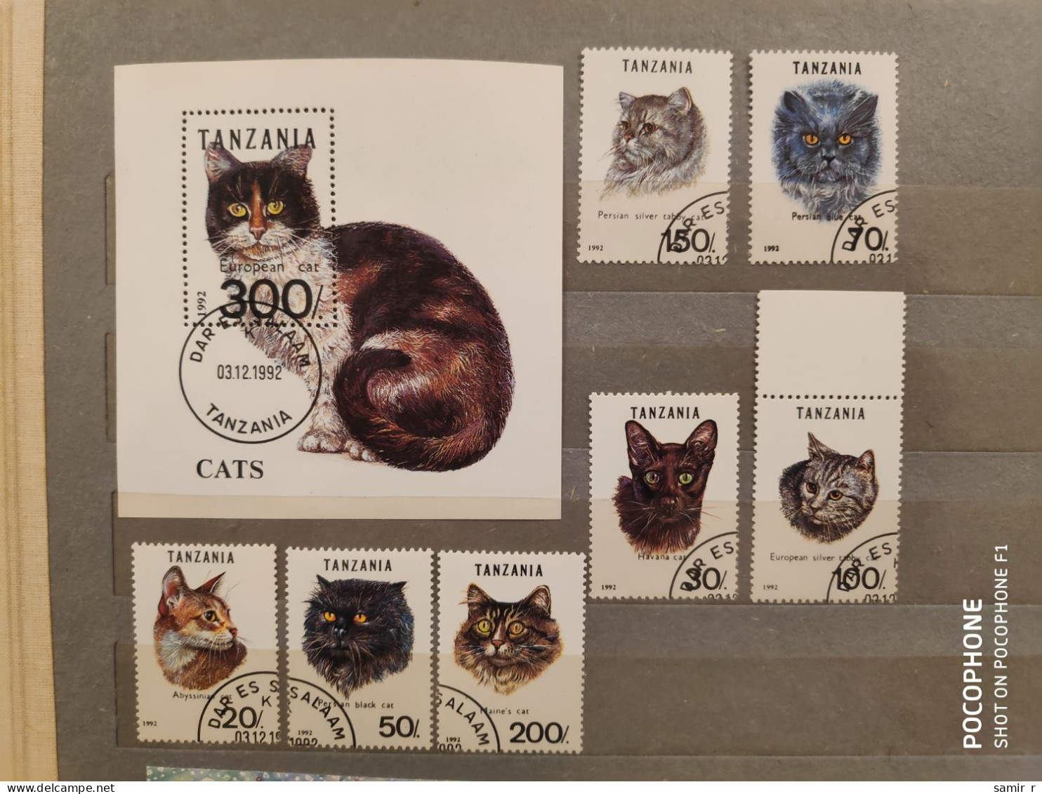 1992	Tanzania	Cats (F87) - Tanzania (1964-...)