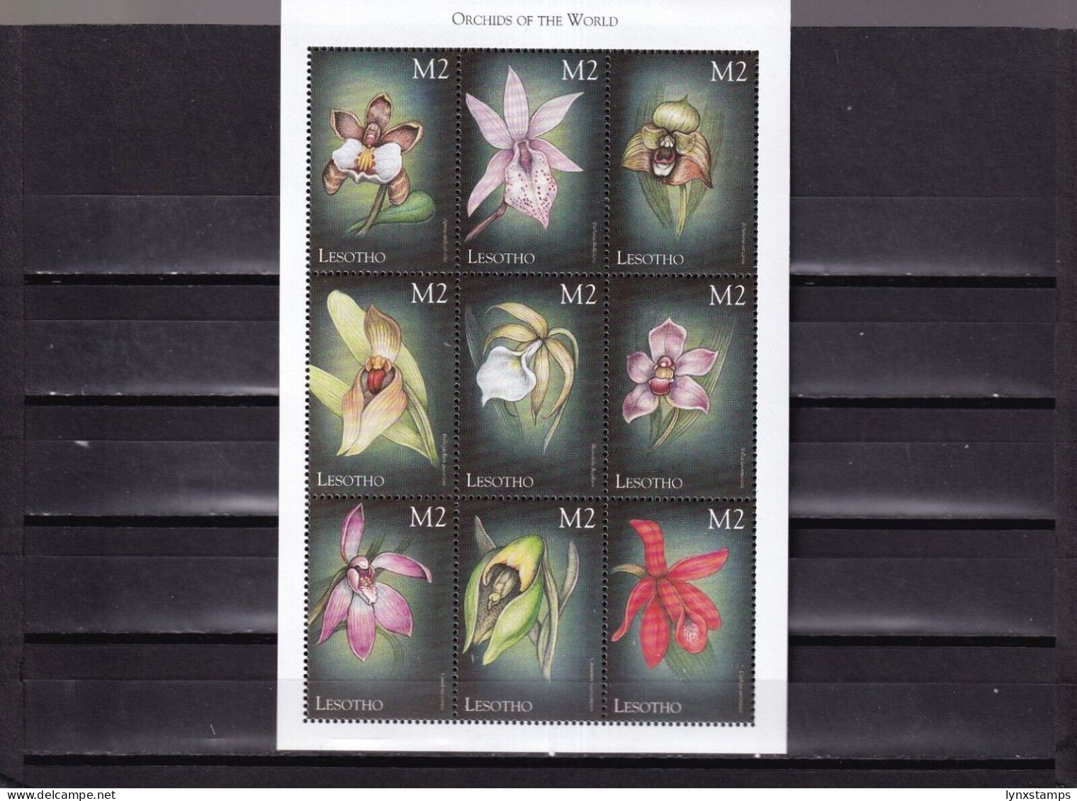 ER04 Lesotho 1999 Orchids MNH Minisheet/stamps - Lesotho (1966-...)