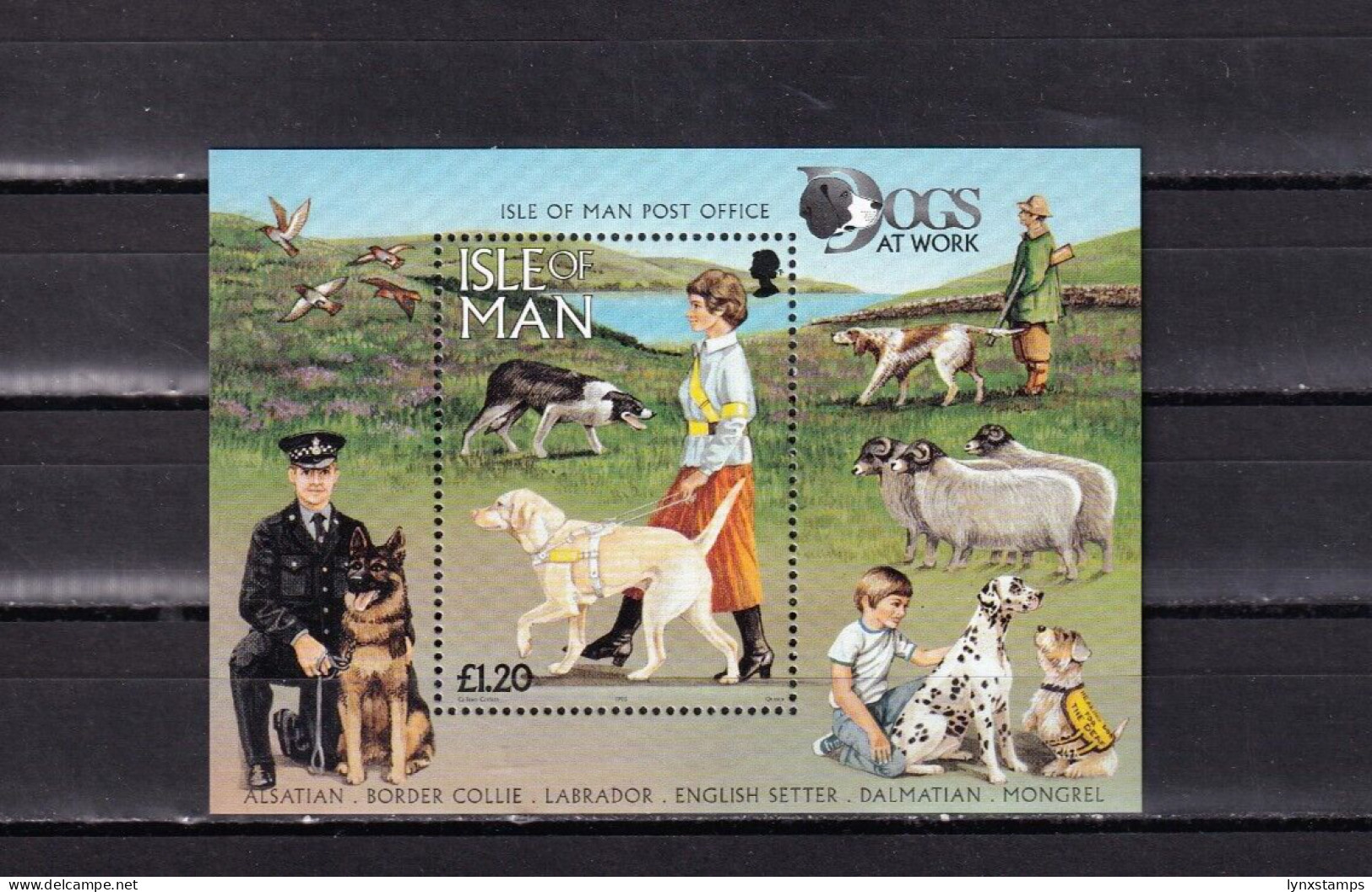 SA04 Great Britain Isle Of Man 1996 Dogs Minisheet - Ortsausgaben