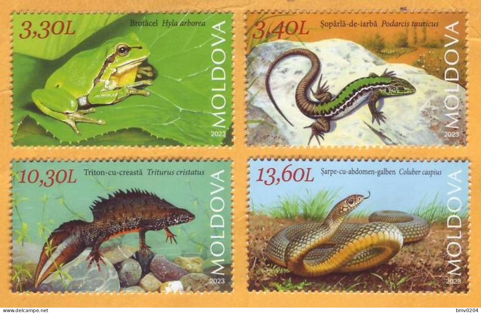 2023  Moldova Fauna, Nature „Red Book Of Republic Of Moldova. Reptiles And Batrachians.” 4v Mint - Frösche