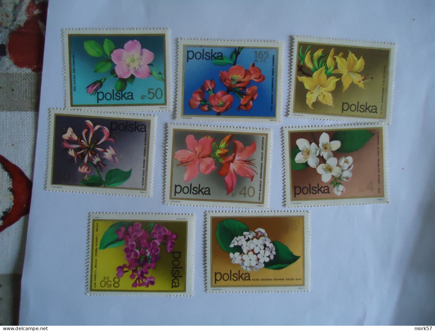 POLAND MNH STAMPS  SET  8  FLOWERS 1972 ORCHIDS - Orquideas