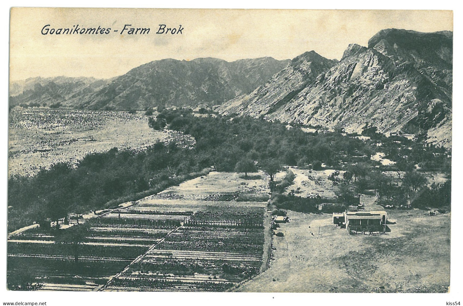 NAM 6 - 23804 GOANIKONTES, Farm, D.S.W. Afrika, Namibia - Old Postcard - Unused - Namibië