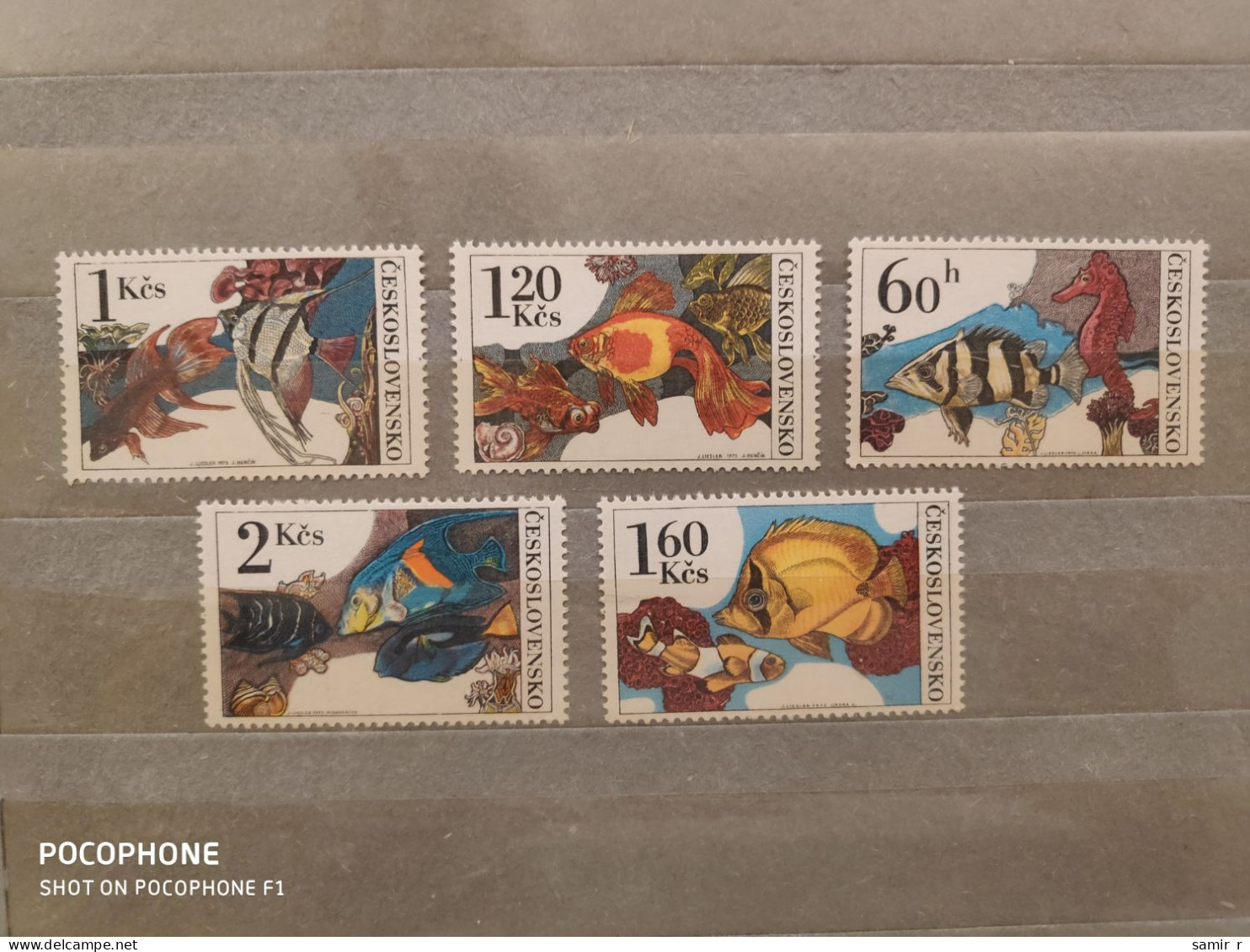 1975	Czechoslovakia	Fishes  (F88) - Unused Stamps