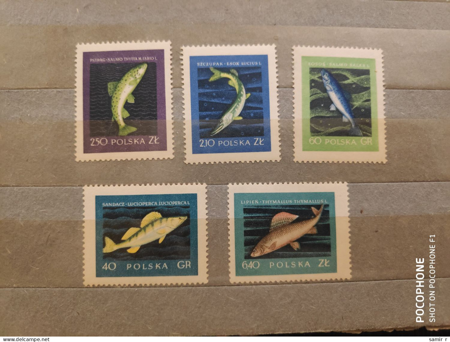 1958	Poland	Fishes (F88) - Unused Stamps