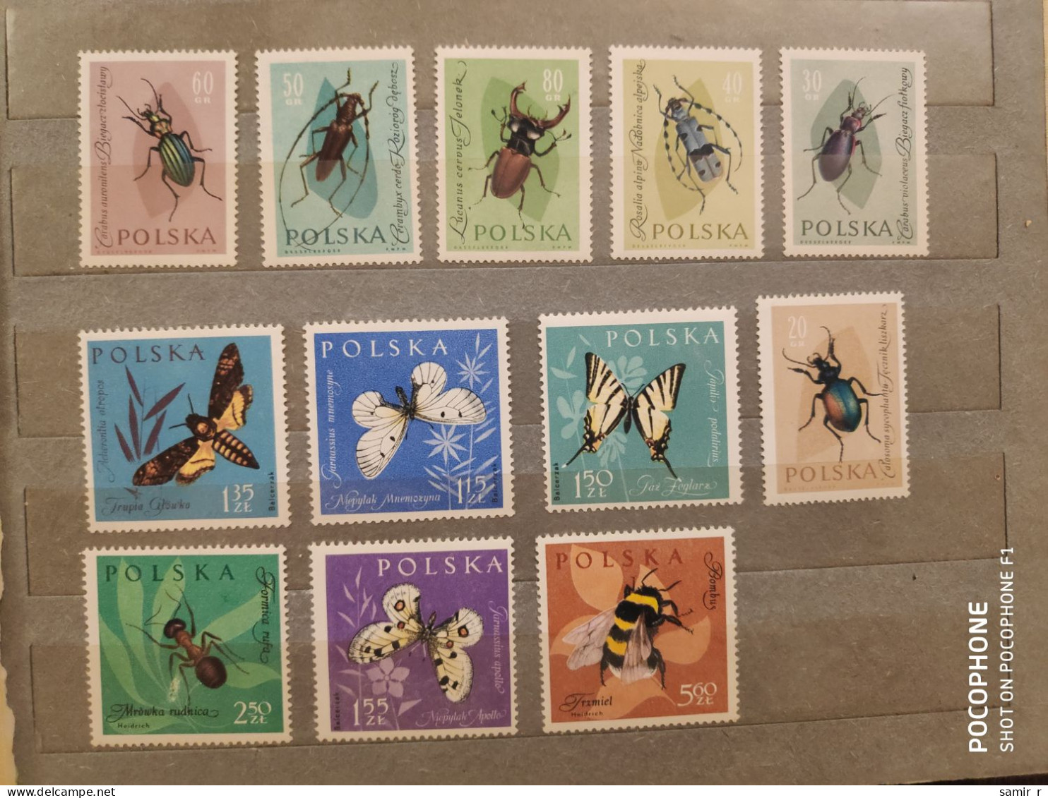 1961	Poland	Beetles Butterflies (F88) - Unused Stamps