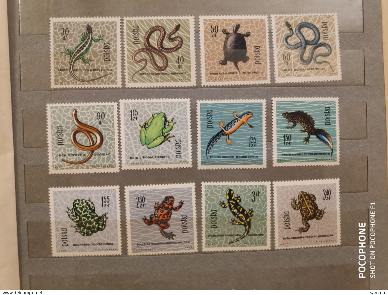 1963	Poland	Snakes Frogs (F88) - Unused Stamps