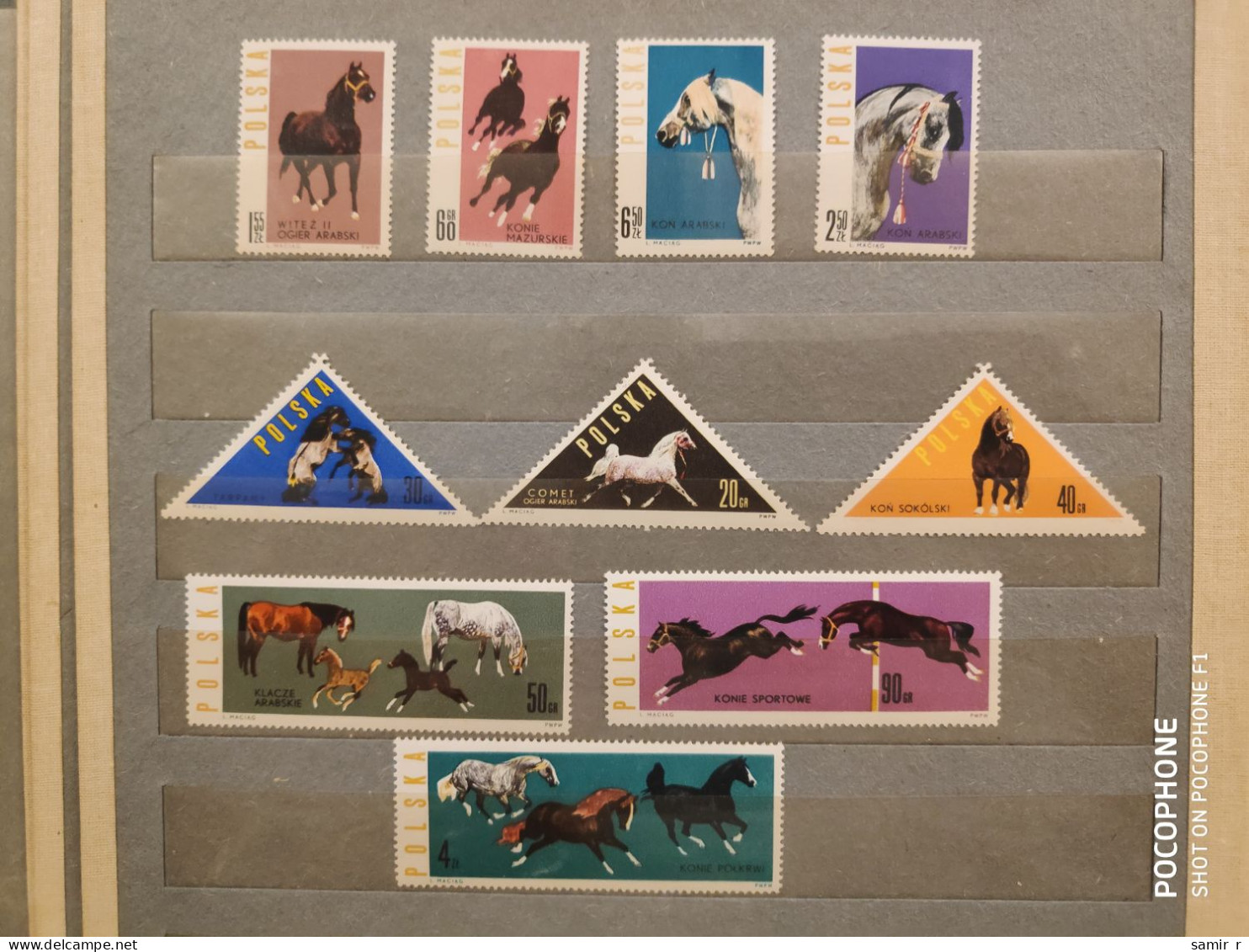 1963	Poland	Horses (F88) - Unused Stamps